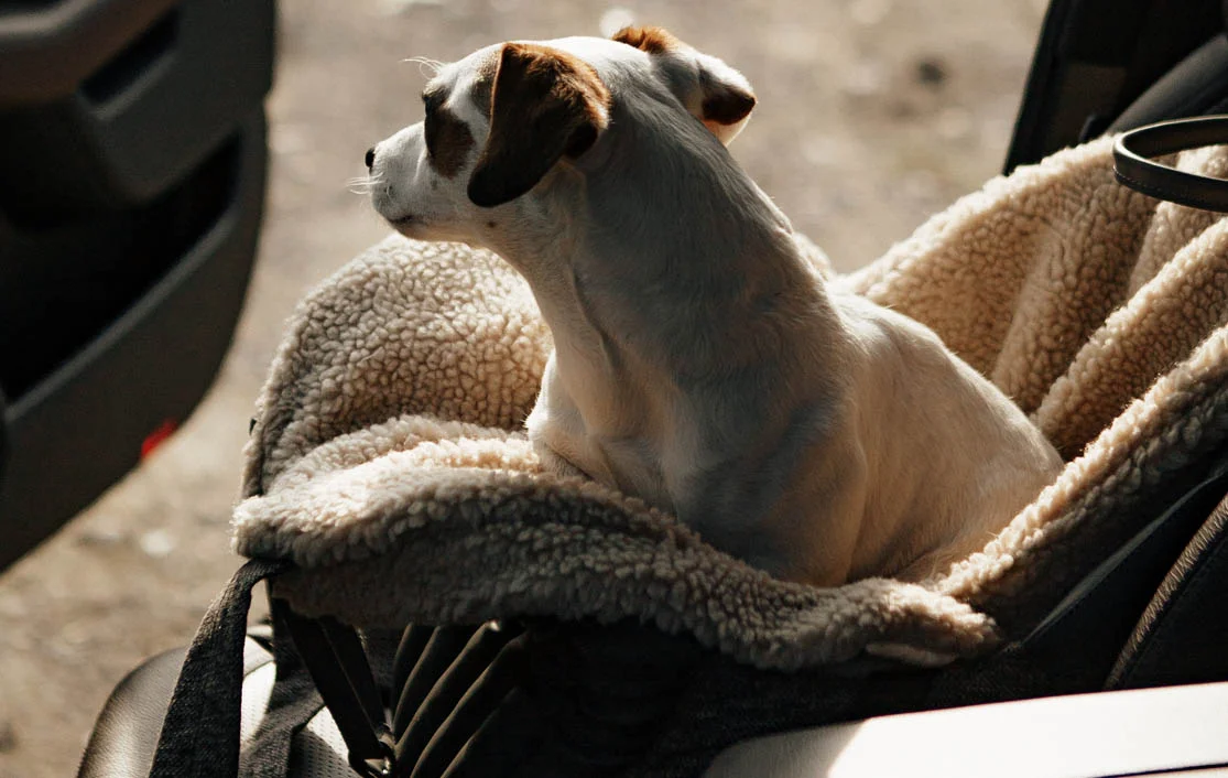 Bolognese Dog Carrier Car Seat for Mercedes-Benz GLC