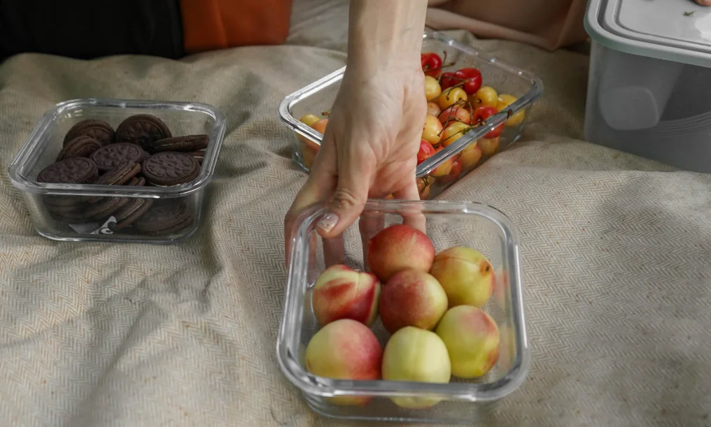 rollup picnic blanket