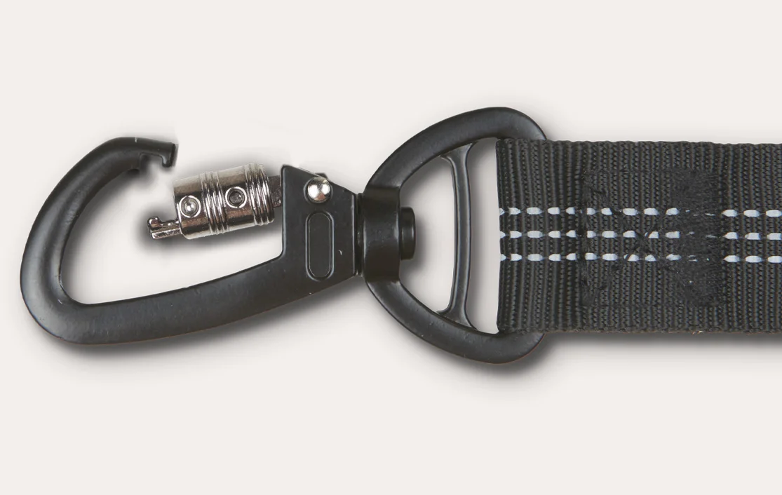 Volkswagen Passat Dog Car Seat Belt for Standard Schnauzers